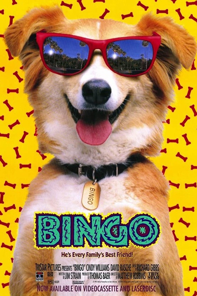 The 1991 Bingo movie poster